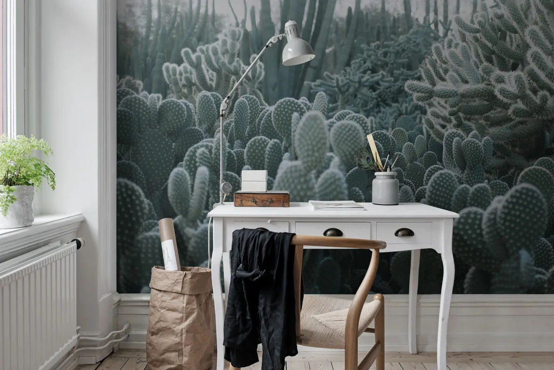 Cacti