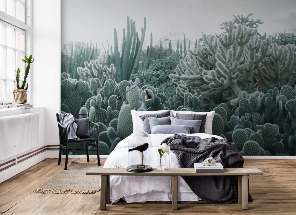 Cacti