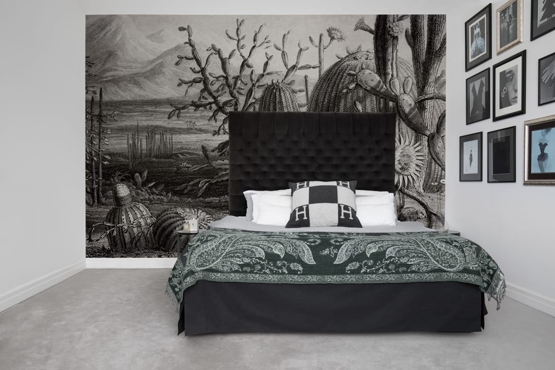 Paysage de cactus en noir et blanc