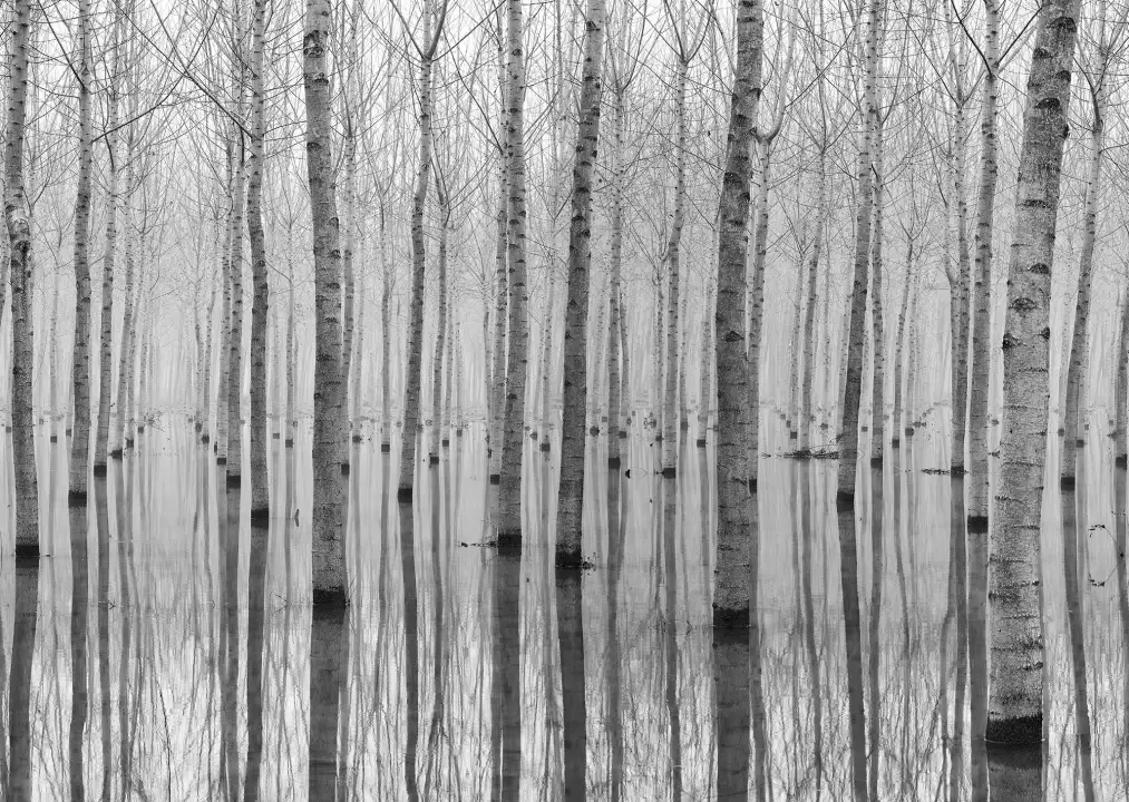 Reflections in the water