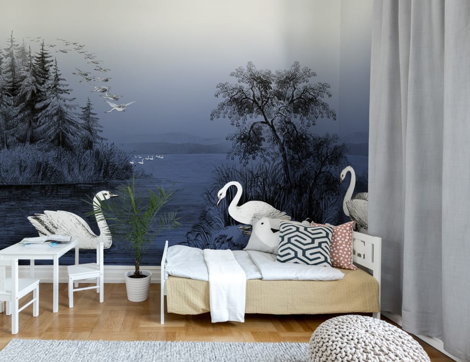 Swans in the midnight blue twilight