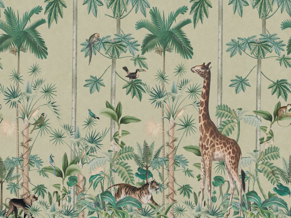 Giraffes Stroll, Sunny