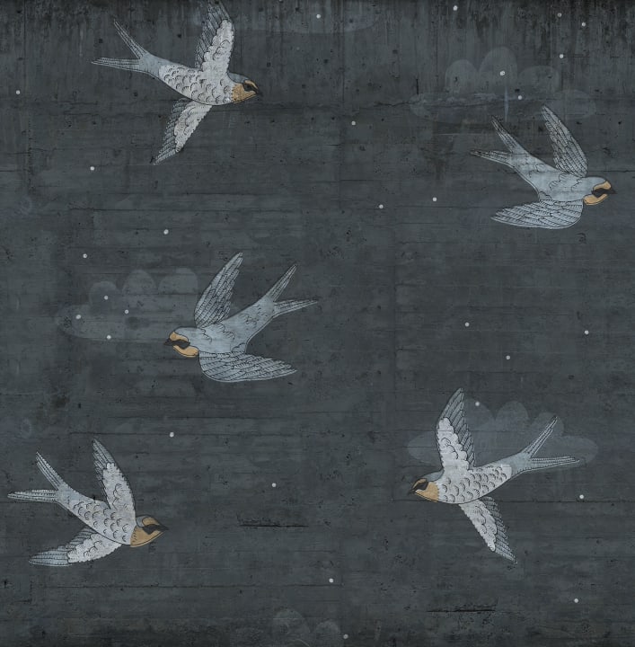 Oiseaux masqués en mission
