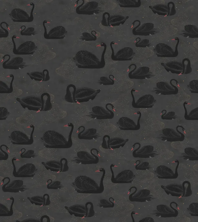 Expect the unexpected with a black swan wallpaper