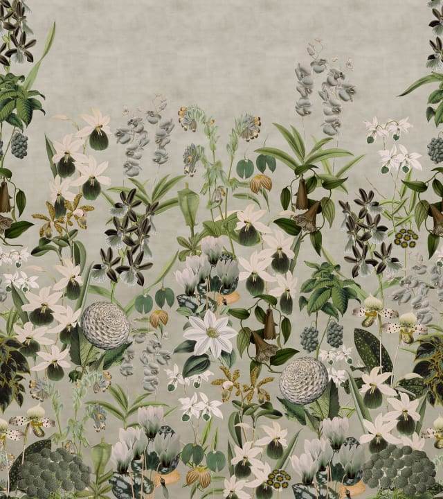 Carta da parati con fiori selvatici grigi
