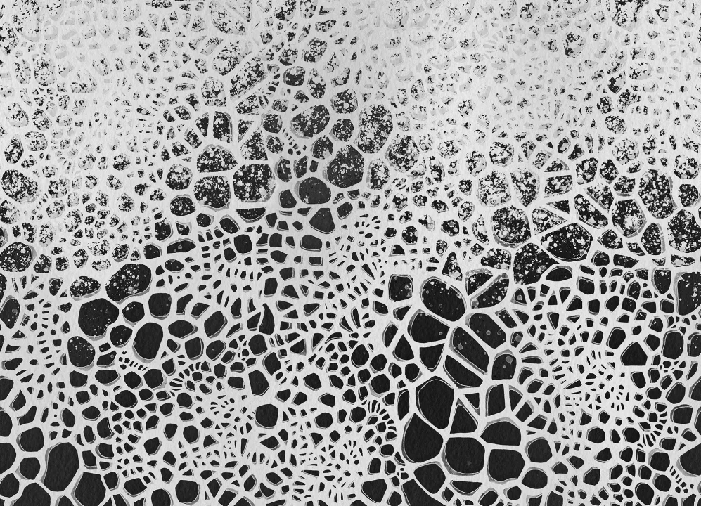 Un fotomural transparente con burbujas dibujadas a mano