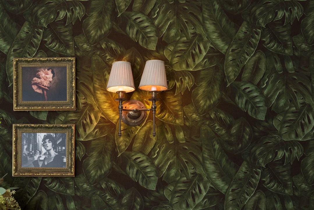 Explore the rainforest