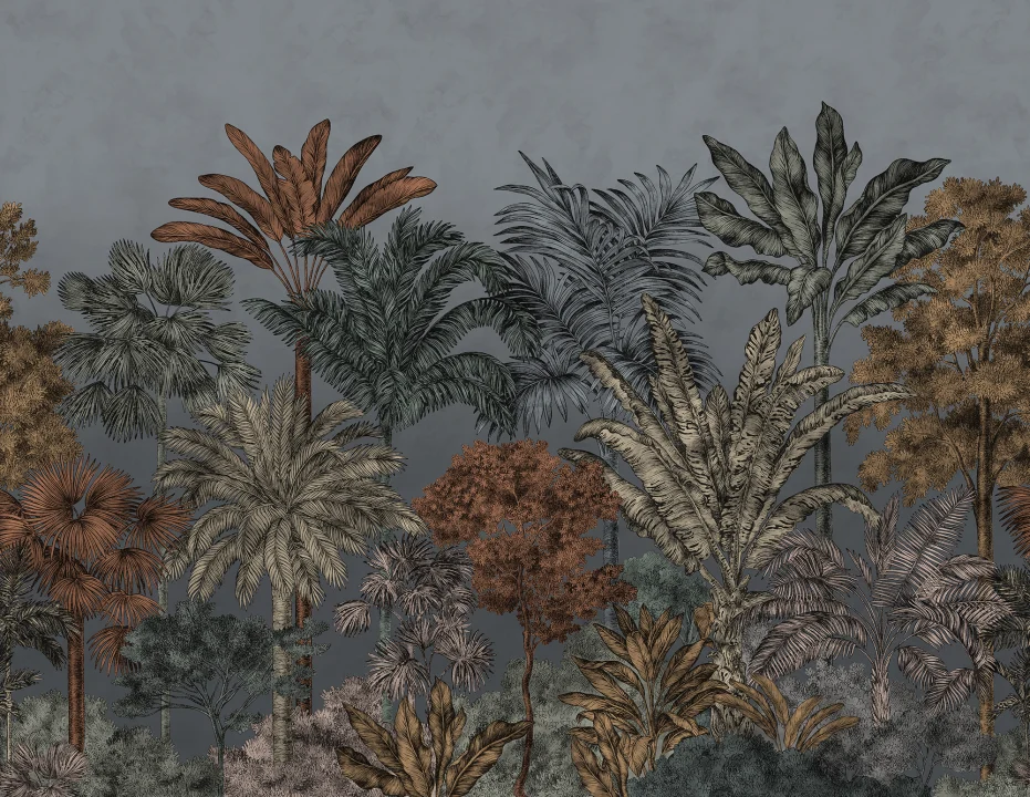 Tropical Bellewood, Night