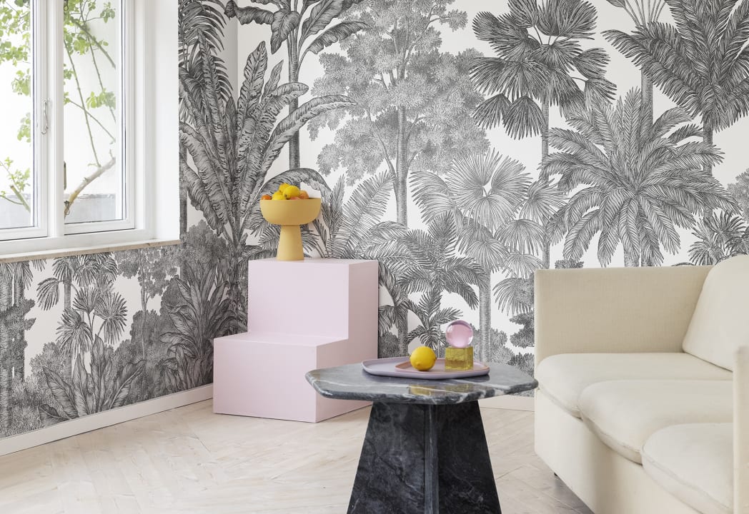 Tropical Bellewood, Graphite