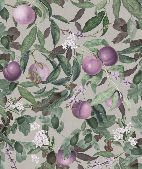 Peach Valley, Lilac