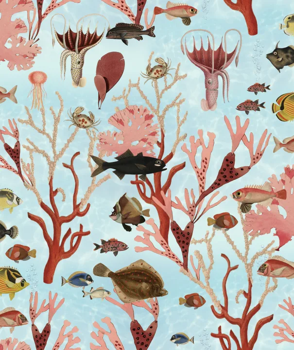 Aquarium, Mint