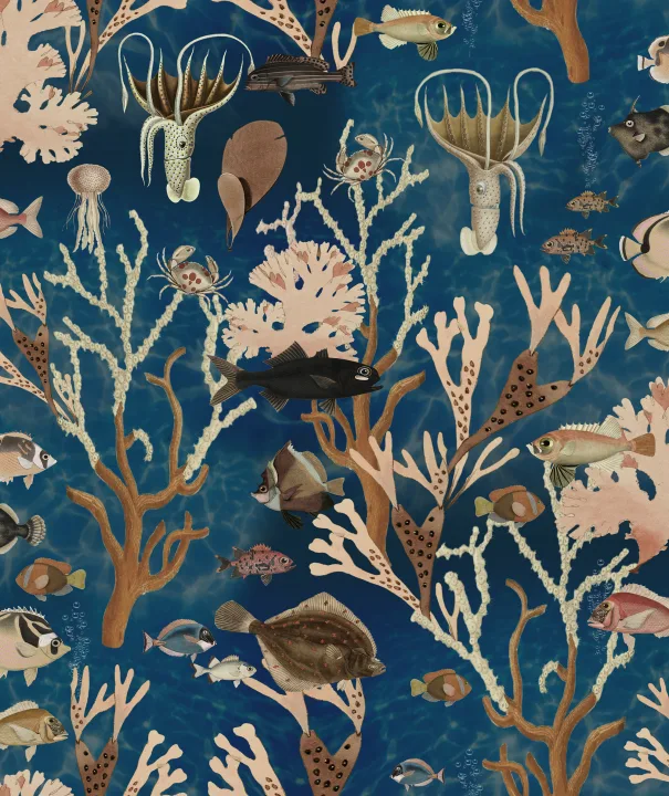 Aquarium, Ocean