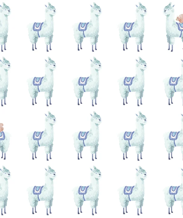 Alpaca Rebel, Sky