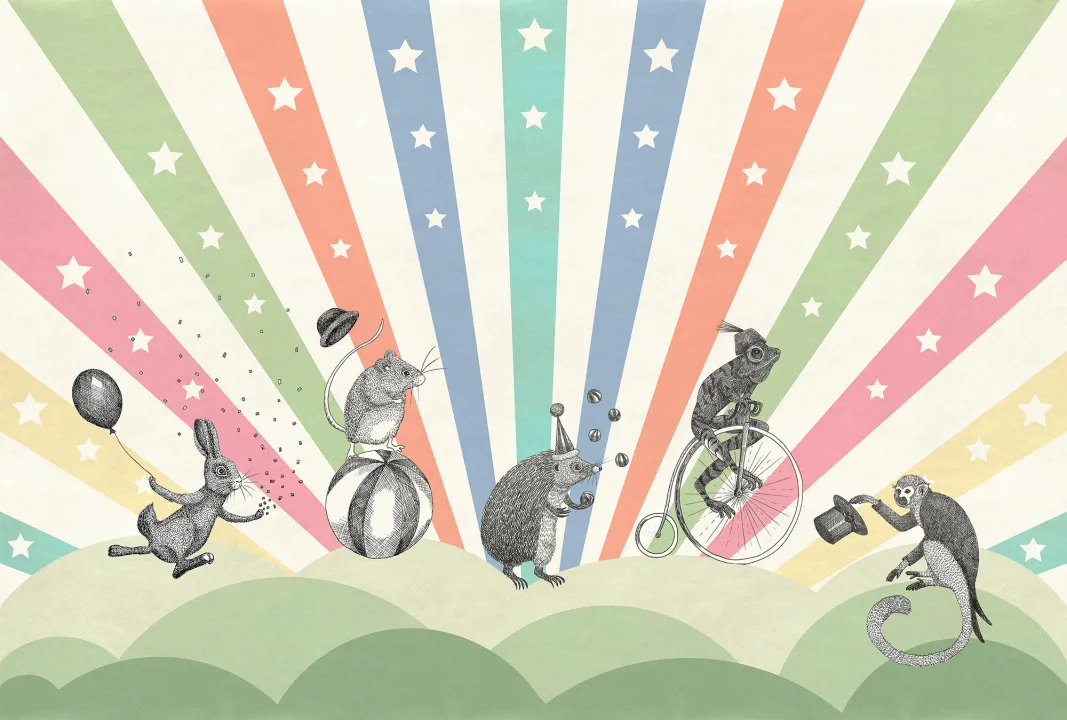 Circus, Rainbow