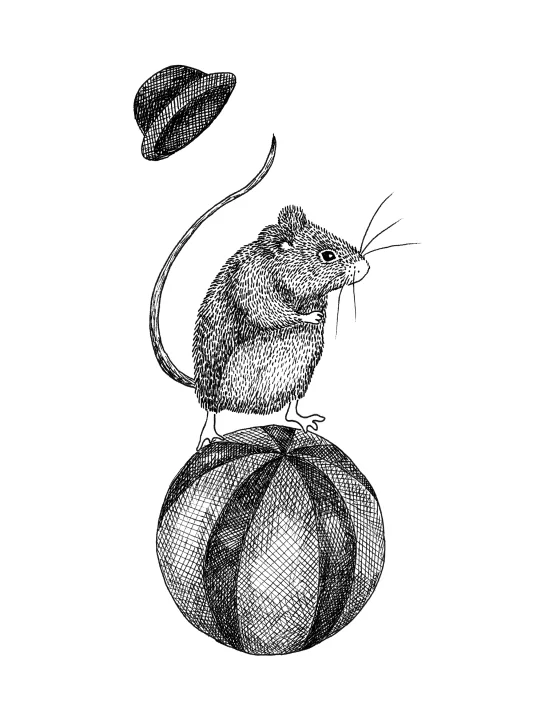 Circus Animal, Maximus