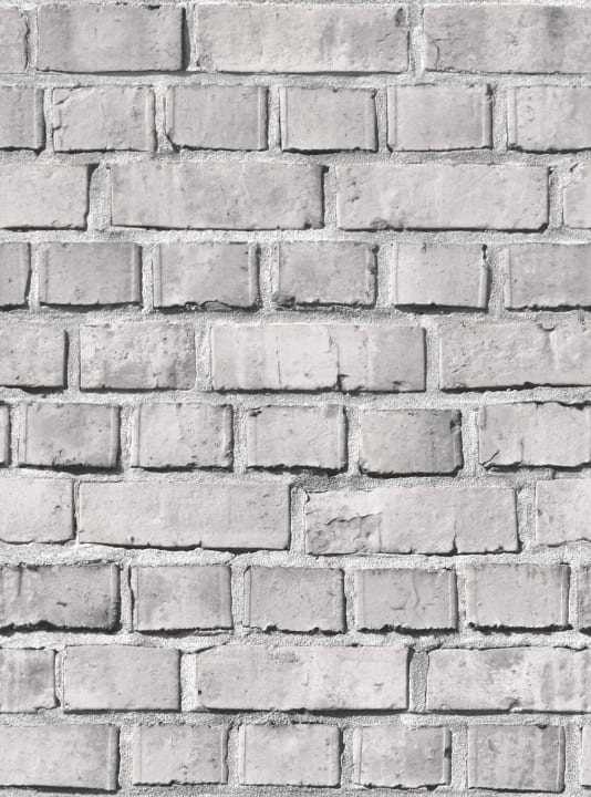 Bricks Ash