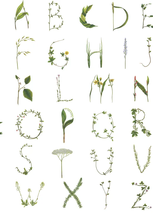 Floral Alphabet Mini English
