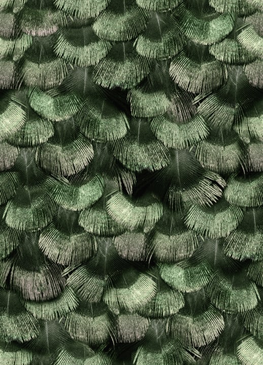 Petite Peackock Plumage, Jade