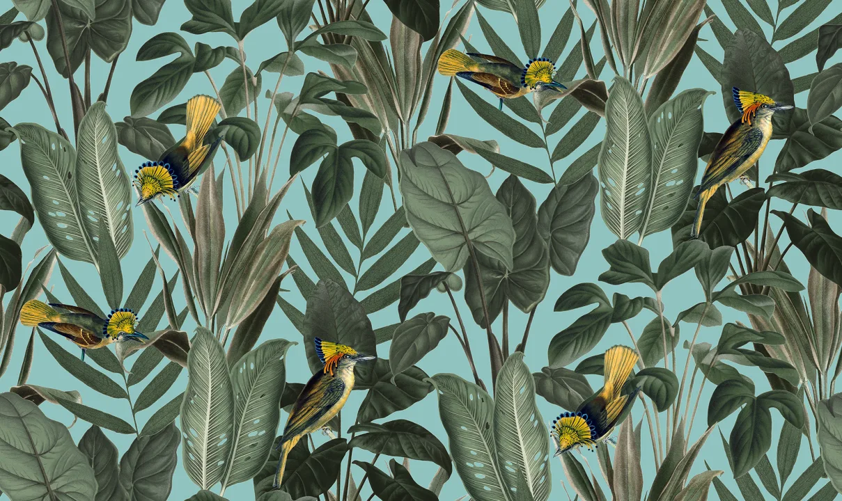 Birds of Paradise, Lush Green