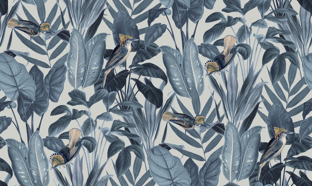 Birds of Paradise, Nightfall