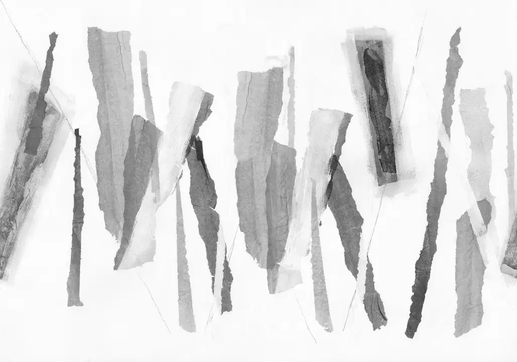 Tear, Graphite