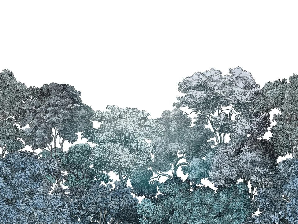 Bellewood, Teal