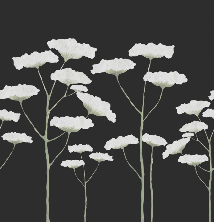 Hand-Painted, Common Hogweed