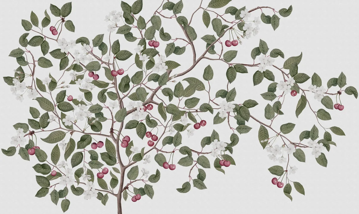 Ripe Berries and Cute Flowers