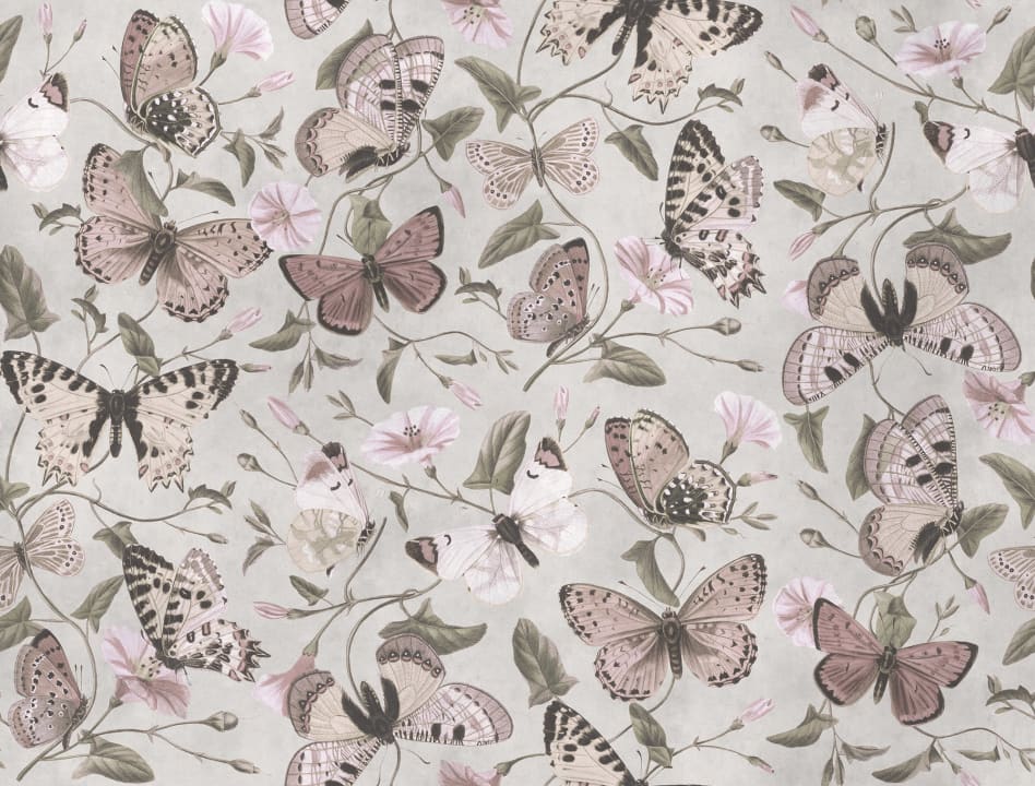 Gracious Butterflies