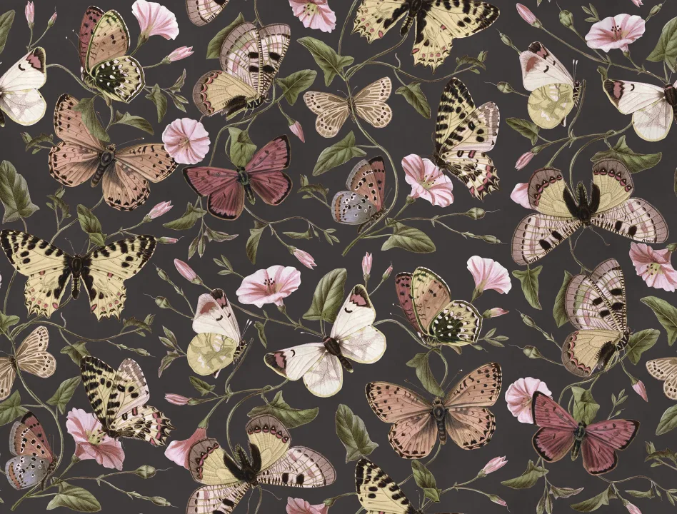 Endearing Butterfly Wallpaper