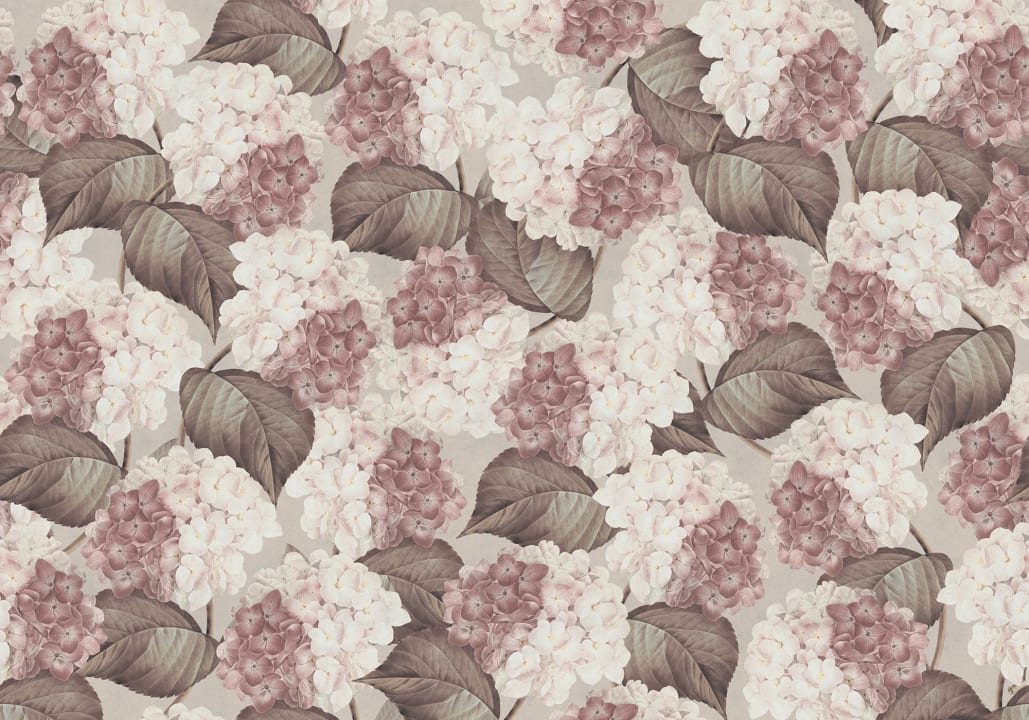 Grote hortensia bloemen