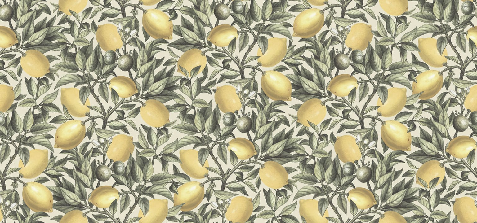 Lemon - licious