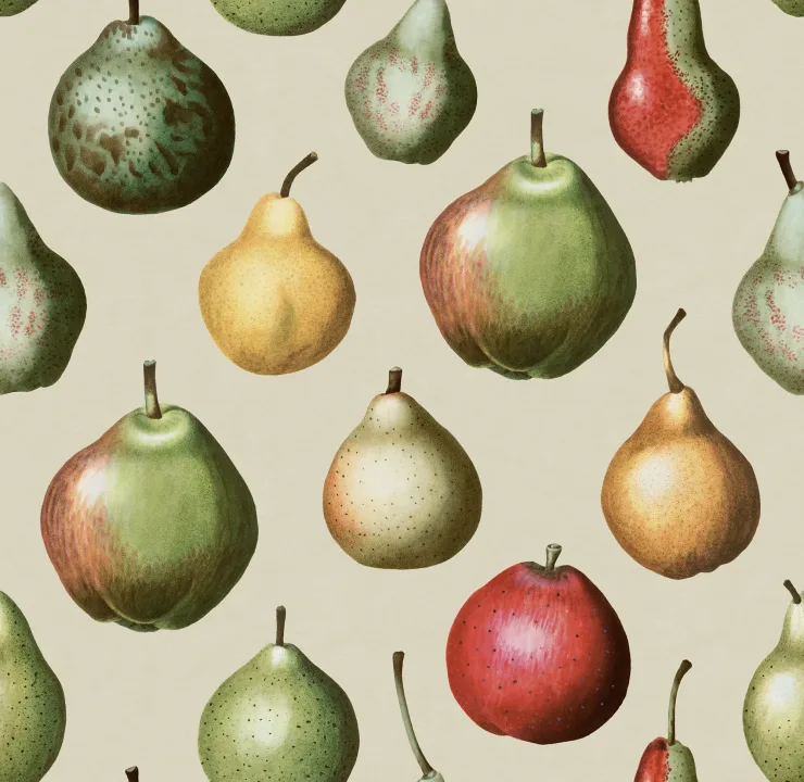 Vintage Pears