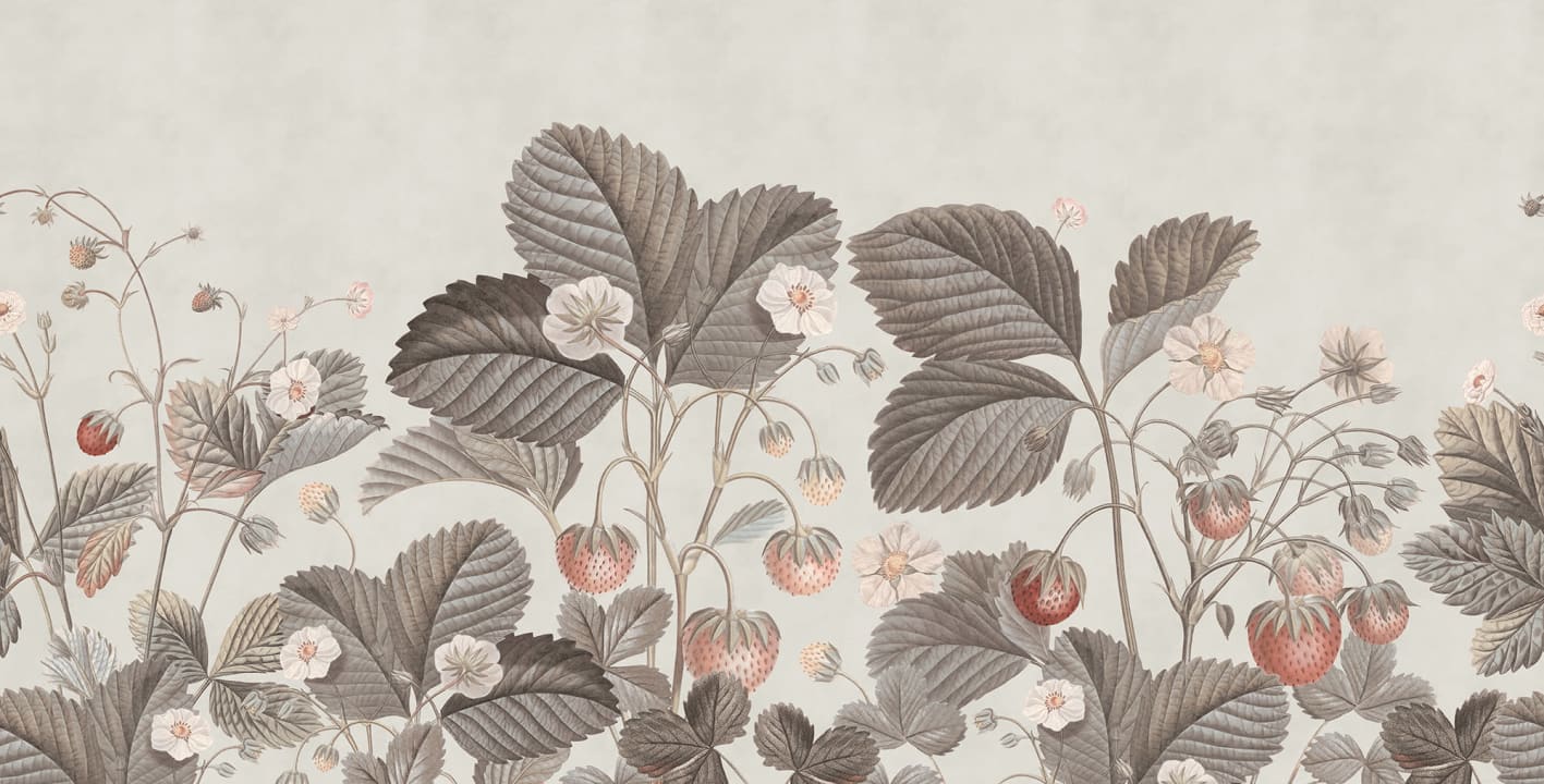 Coltivare le fragole