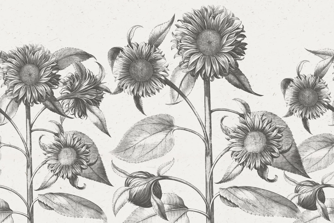 Taiteellisia auringonkukkia