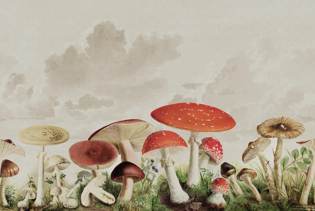 Géants champignons sympathiques