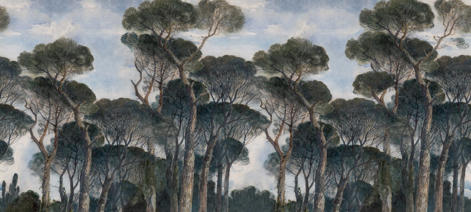 Elegant Pine Trees
