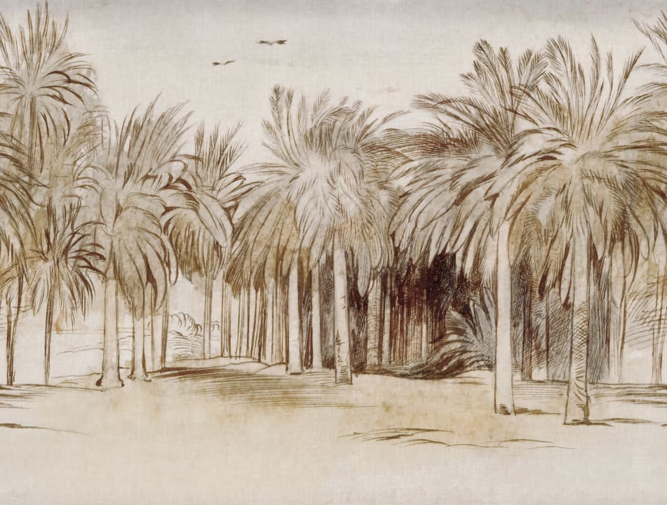 Alluring Oasis