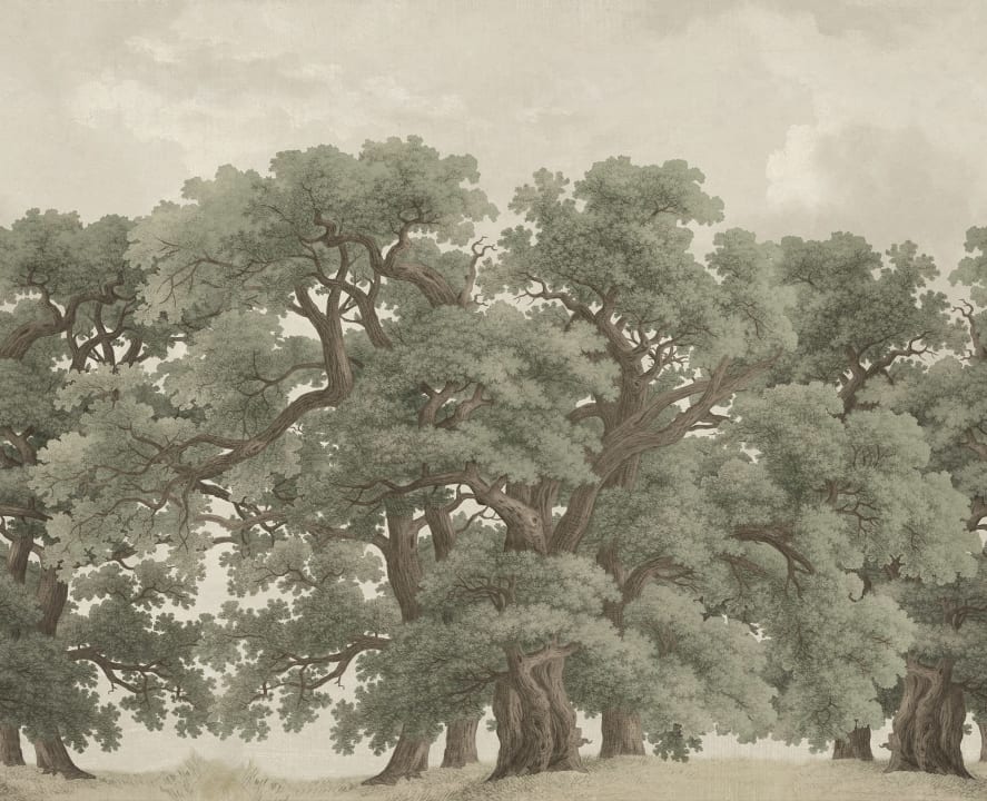 O esplendor da natureza