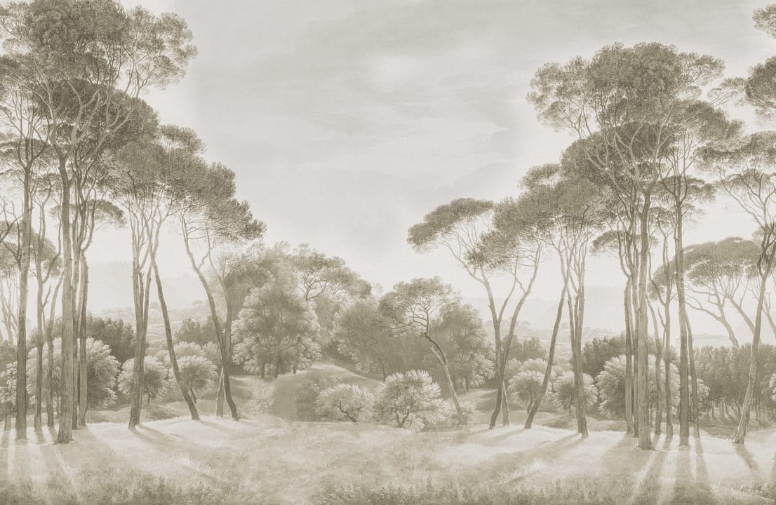 Silhuetas elegantes