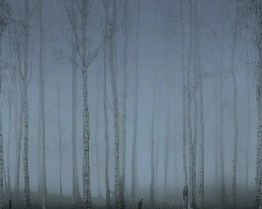 Mystisiä puita