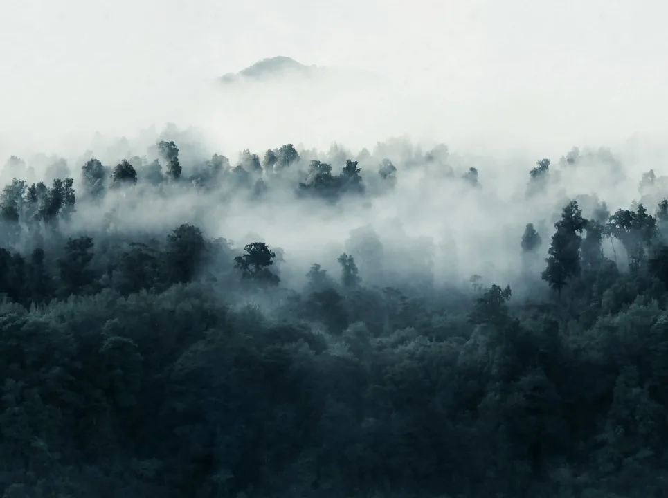 Omfamnande skog