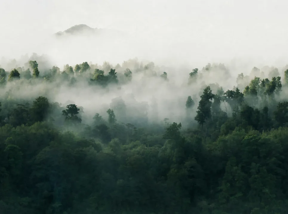 Au-delà des montagnes