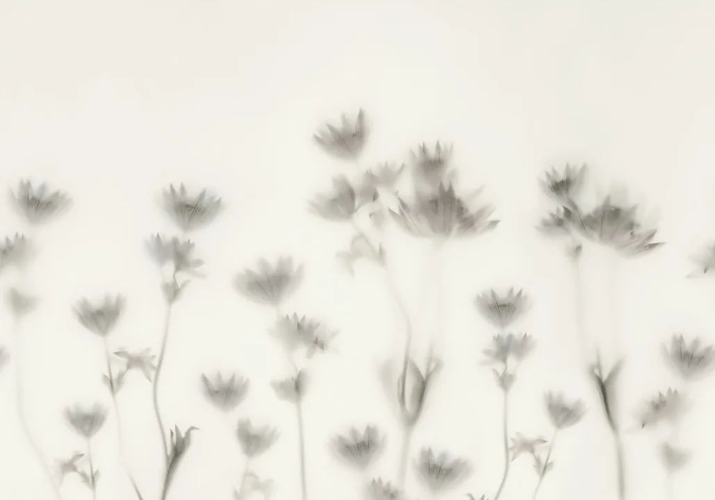 Floral Shadows