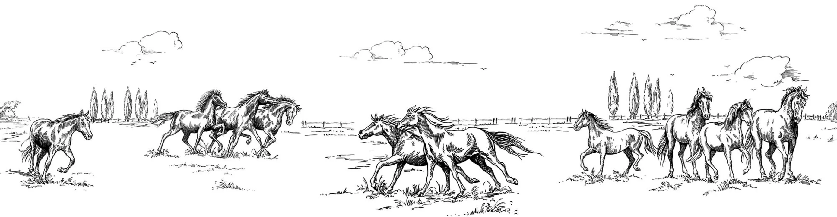 Majestic Horses Monochrome