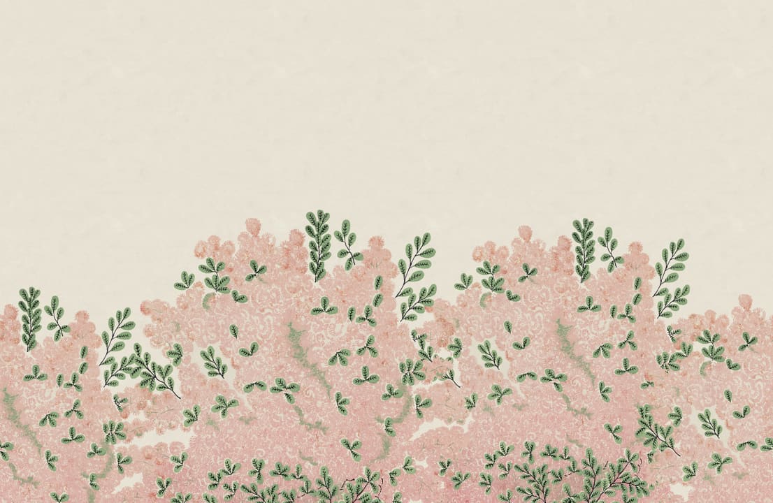 Delicate Pink Blossoms