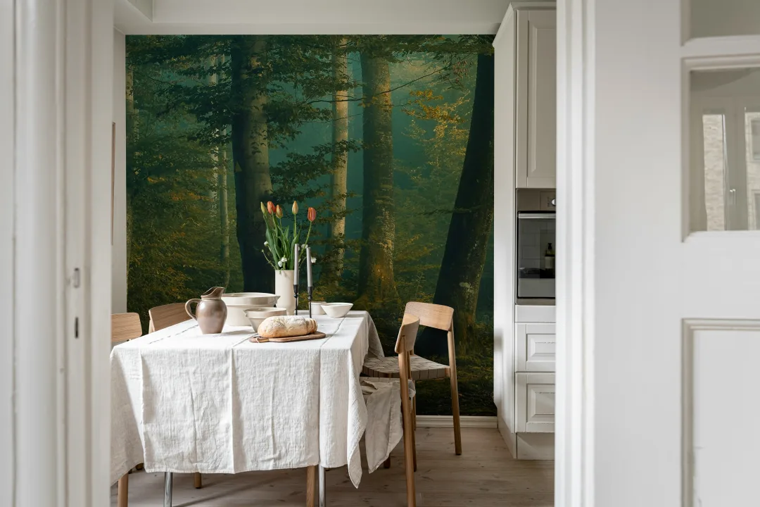 Beech Forest
