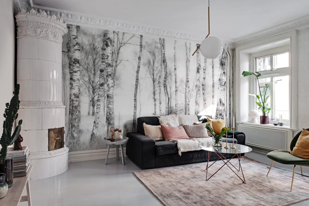Birch Trees