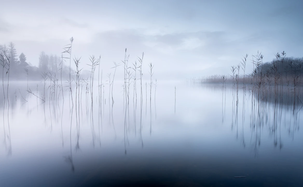 Calm Lake
