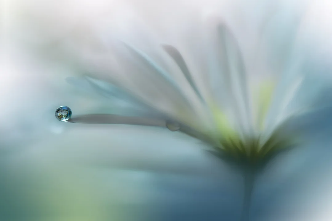 Raindrop